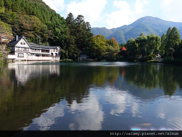 DSC05784019.jpg