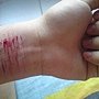 DSC01752.JPG
