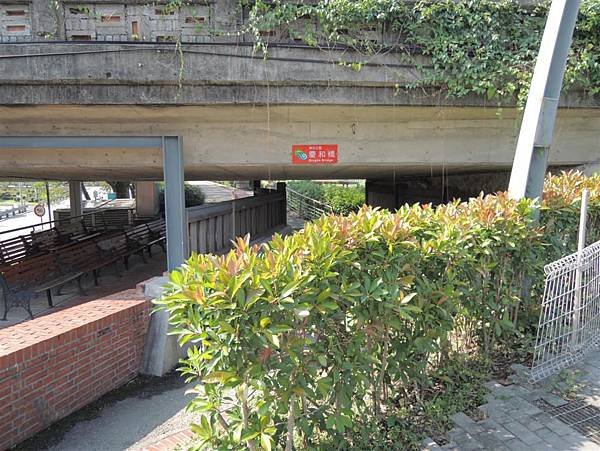 DSCN0301 (Medium)