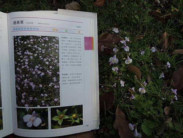 DSCN2147 (Medium)
