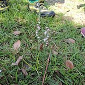 DSCN2146 (Medium)