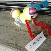 IMG_0837 (Medium)