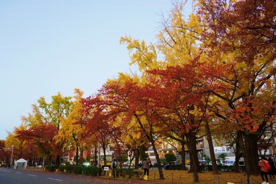 batch_都東本願寺1.JPG