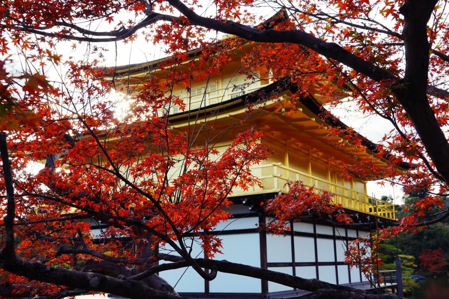 讀後感| 金閣寺，三島由紀夫。