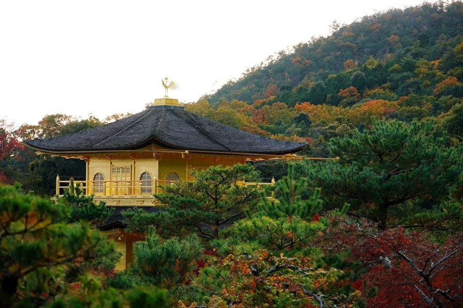 讀後感| 金閣寺，三島由紀夫。