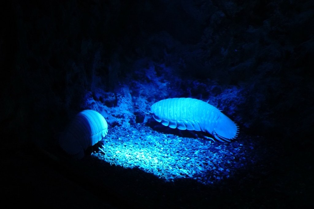 Xpark_210223_0014.jpg