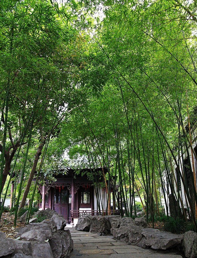中國上海-57.jpg