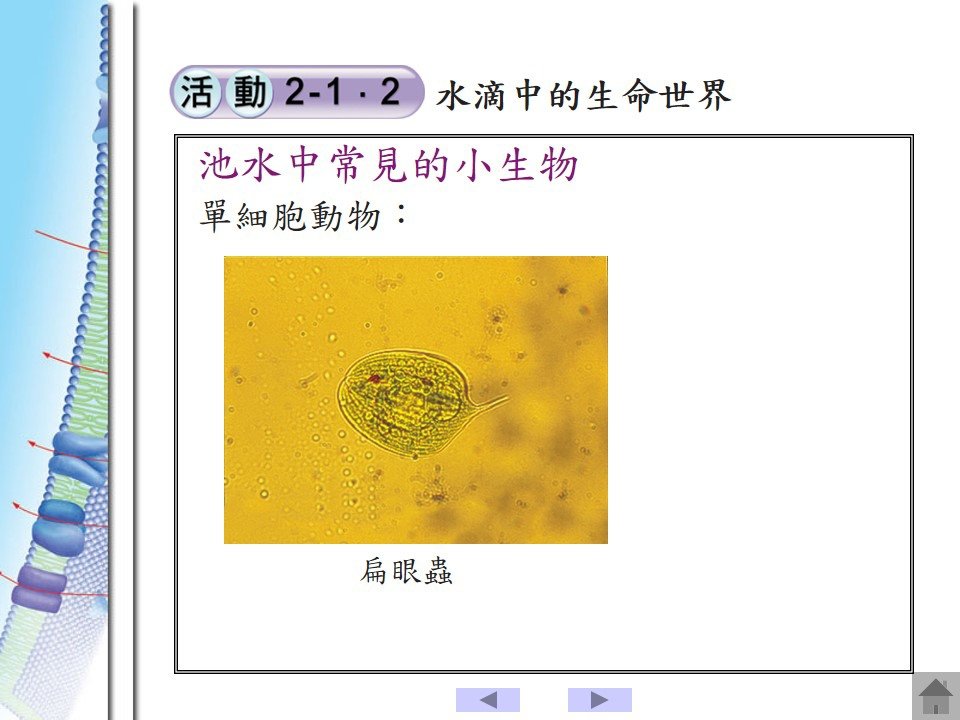 投影片46.JPG