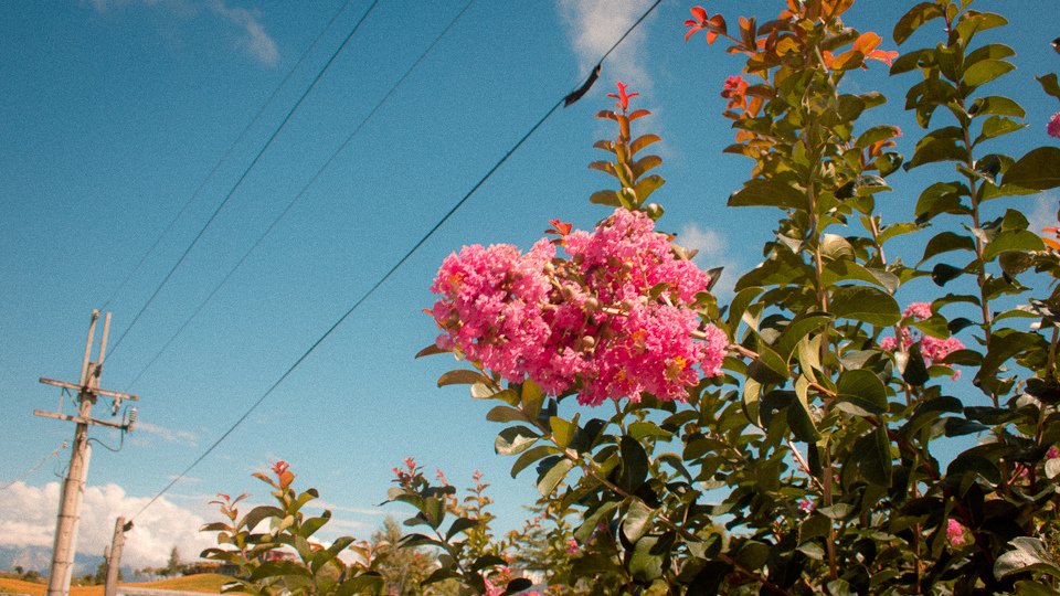 IMG_8854