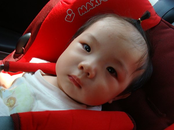 DSC03147.JPG