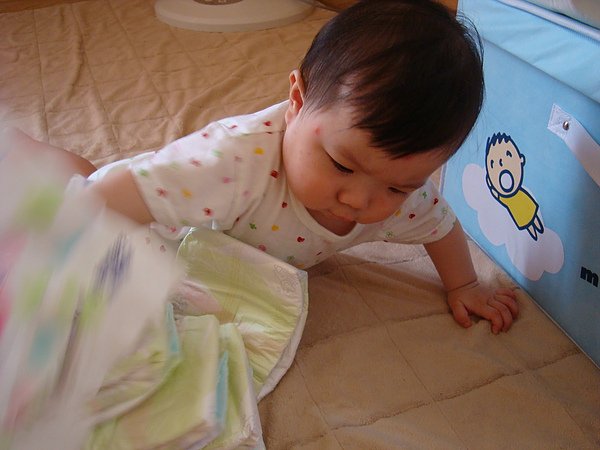 DSC02775.JPG