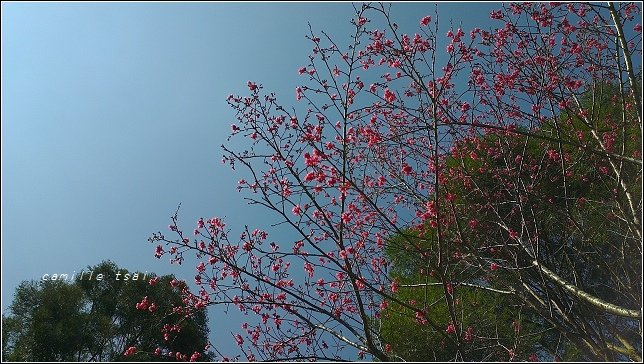 IMAG4085.jpg