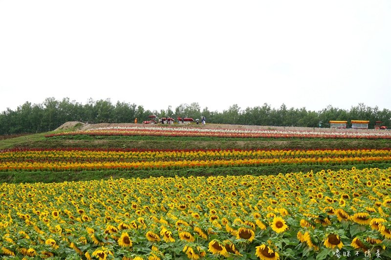 DSC09062.jpg