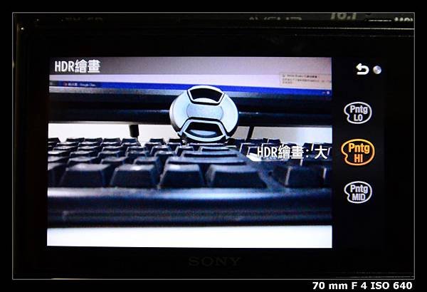 reDSC_4972
