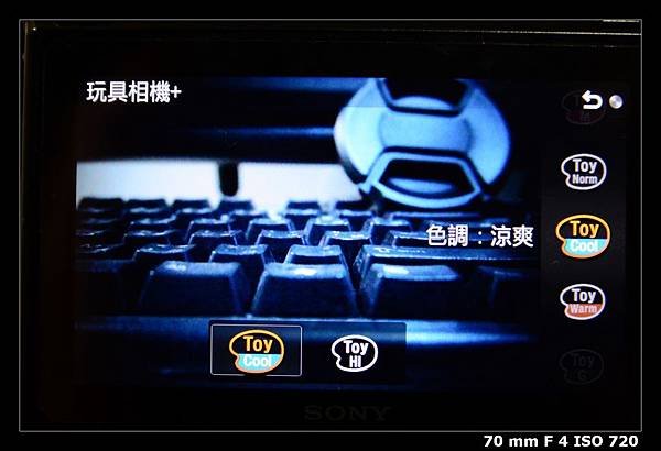 reDSC_4973