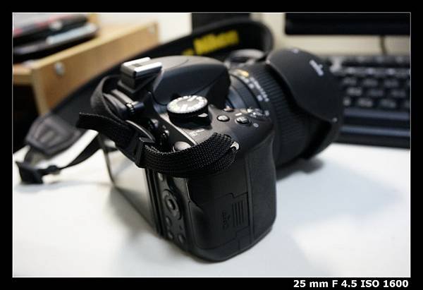 re_DSC9465