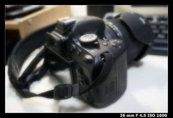 re_DSC9478