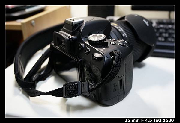 re_DSC9493