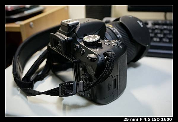 re_DSC9492
