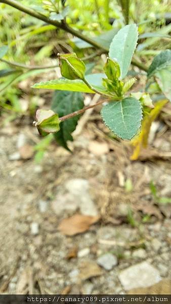 20210315_103330.jpg