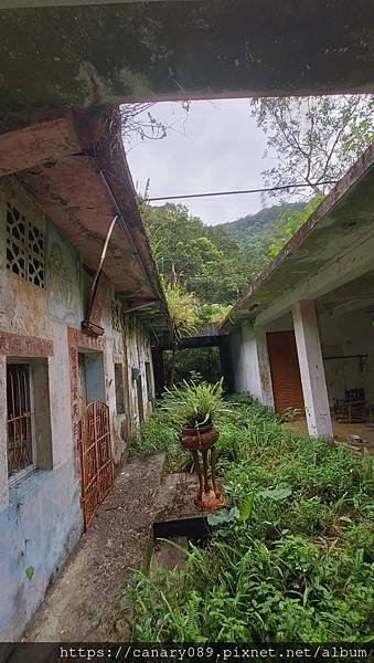 20210315_110739.jpg