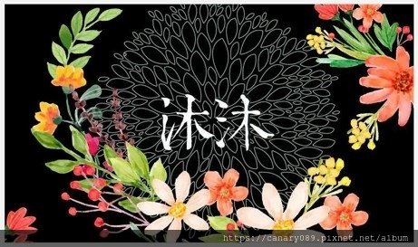 圖片1.jpg