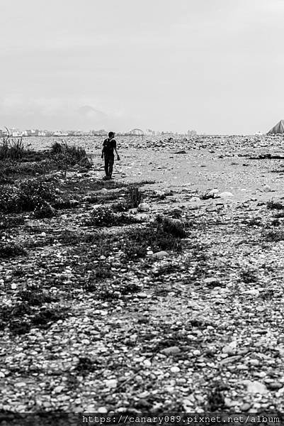 DSC_7738_1.jpg