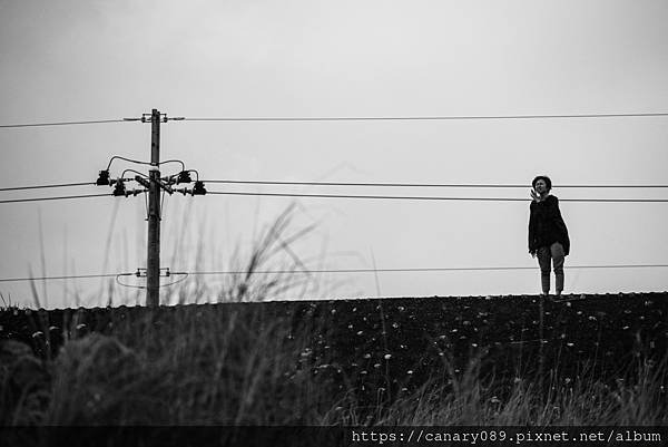 DSC_7833.JPG
