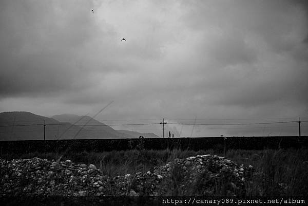 DSC_7856.JPG