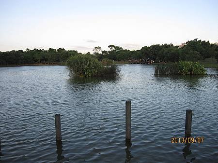 IMG_9134