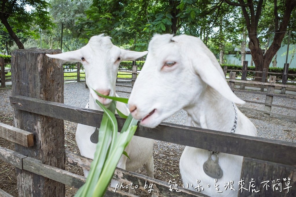 高雄親子景點一日遊推薦｜華一休閒農場 X 壽山動物園