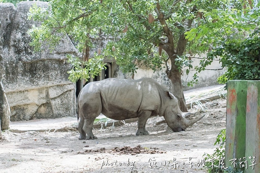 高雄親子景點一日遊推薦｜華一休閒農場 X 壽山動物園