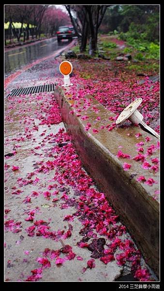 2014.2月_三芝賞櫻小雨遊052.jpg