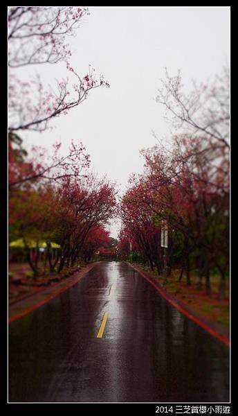 2014.2月_三芝賞櫻小雨遊057.jpg