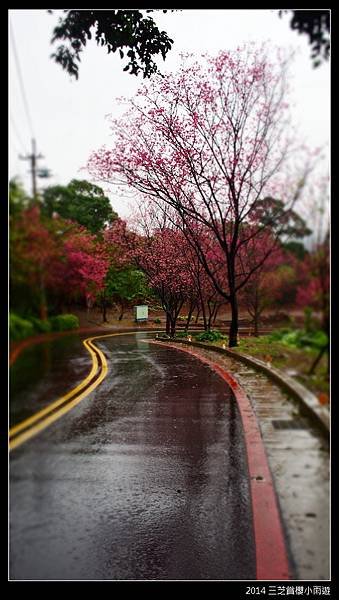 2014.2月_三芝賞櫻小雨遊065.jpg