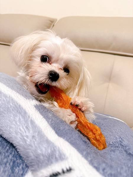 【狗狗零食推薦】Herz赫緻 / 火雞筋雞肉零食 / 挑嘴犬