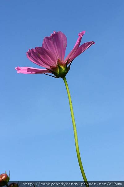 IMG_4750.jpg