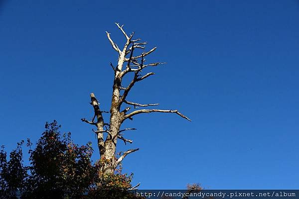 IMG_6262.jpg