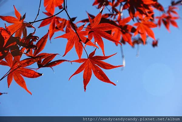 IMG_5775.jpg
