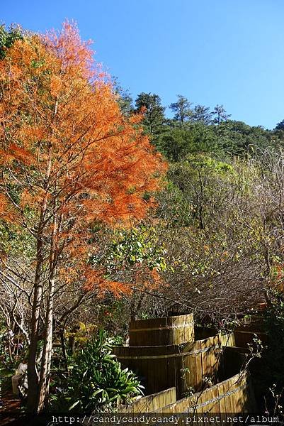 IMG_5785.jpg