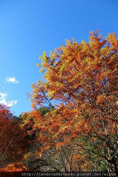 IMG_5791.jpg