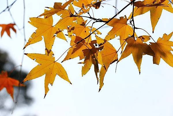 IMG_7861.jpg