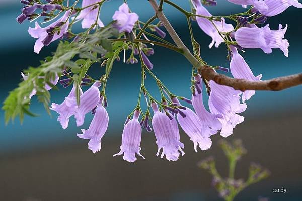 IMG_3170.jpg