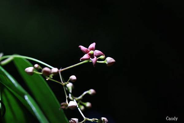 IMG_7623.jpg