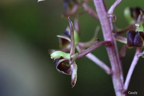 IMG_6544.jpg