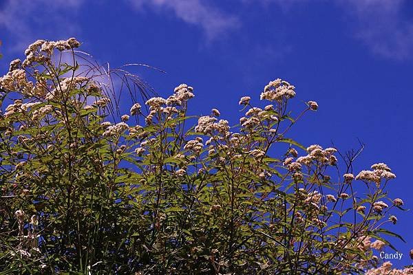 IMG_3773.jpg