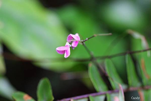 IMG_6151.jpg