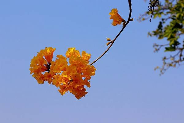 _MG_9455.JPG