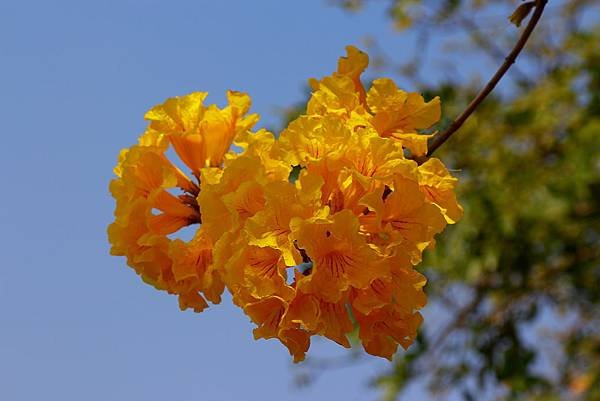 _MG_9448.JPG