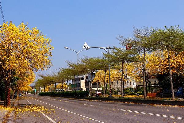 _MG_9514.JPG